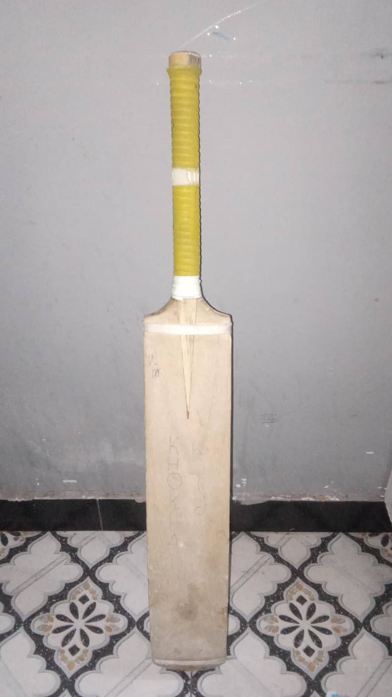 coconut bat 1