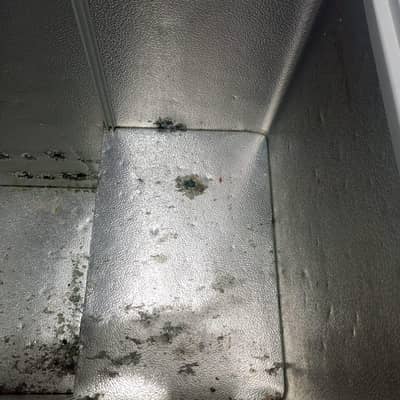 PEL Freezer (2018 Model) – Clean Condition
