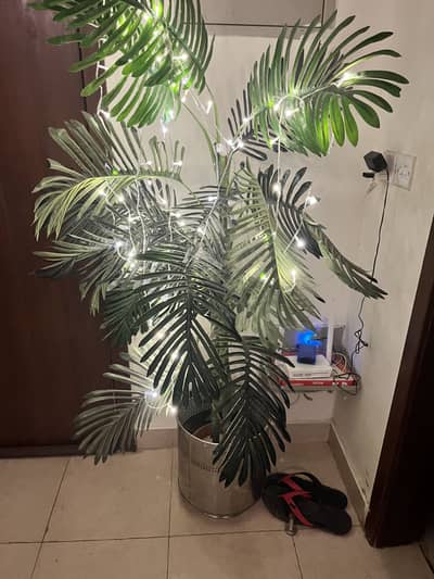 Planter for Sales