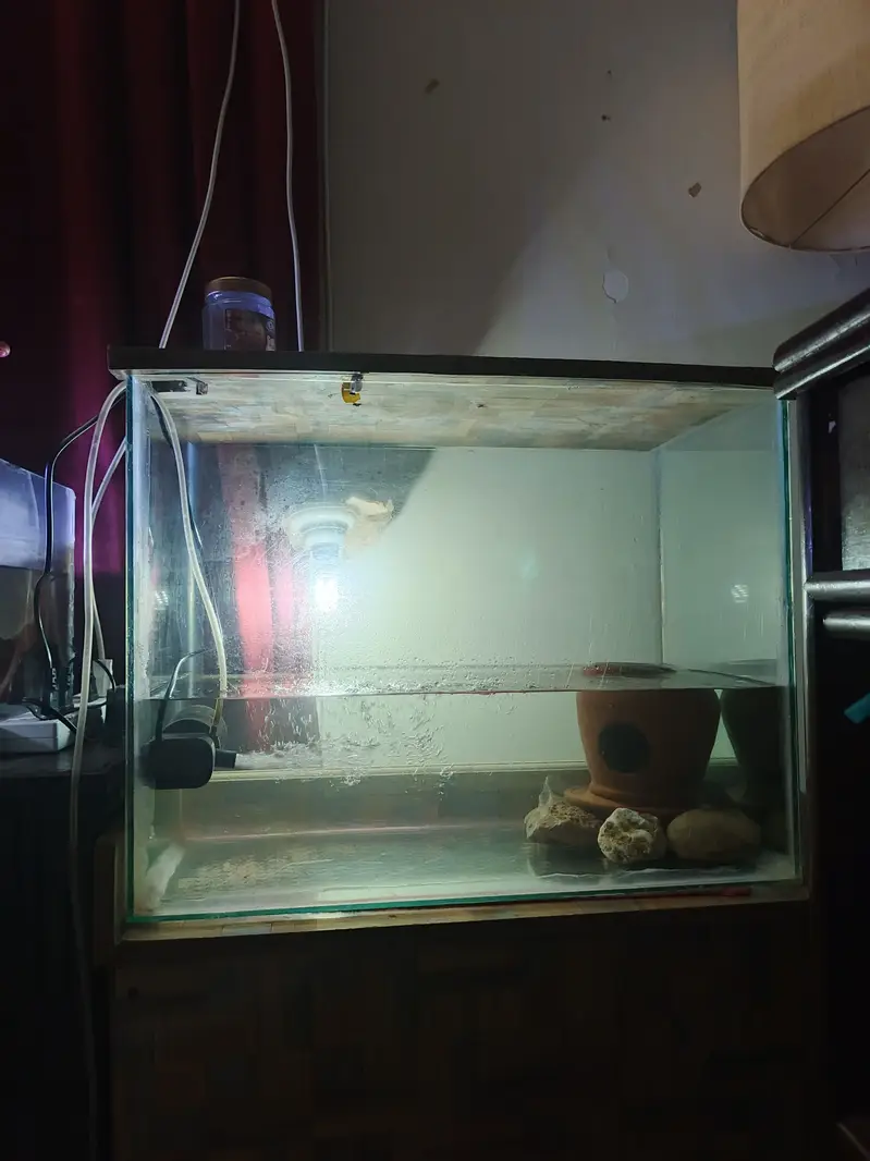 Aquarium for sale — photo 2