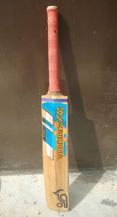 Original Kookaburra Pro Hardball Cricket Bat