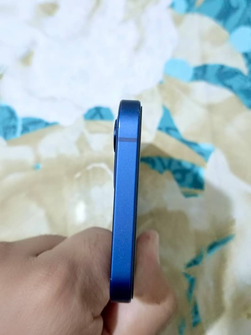 Apple iPhone 12 1