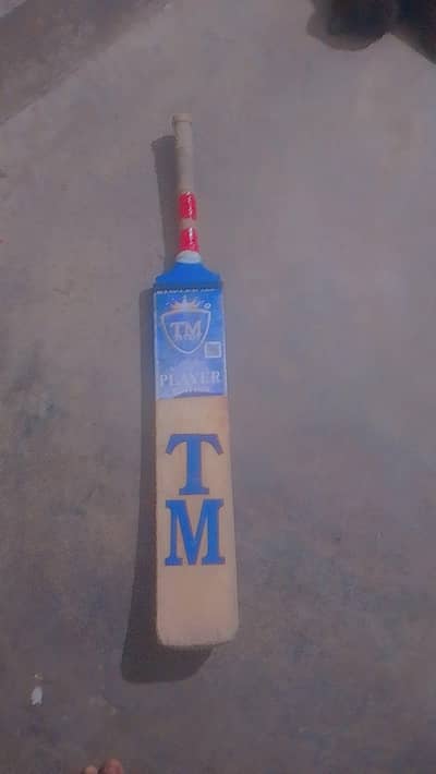 cricket bat