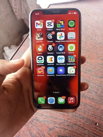Apple iPhone X