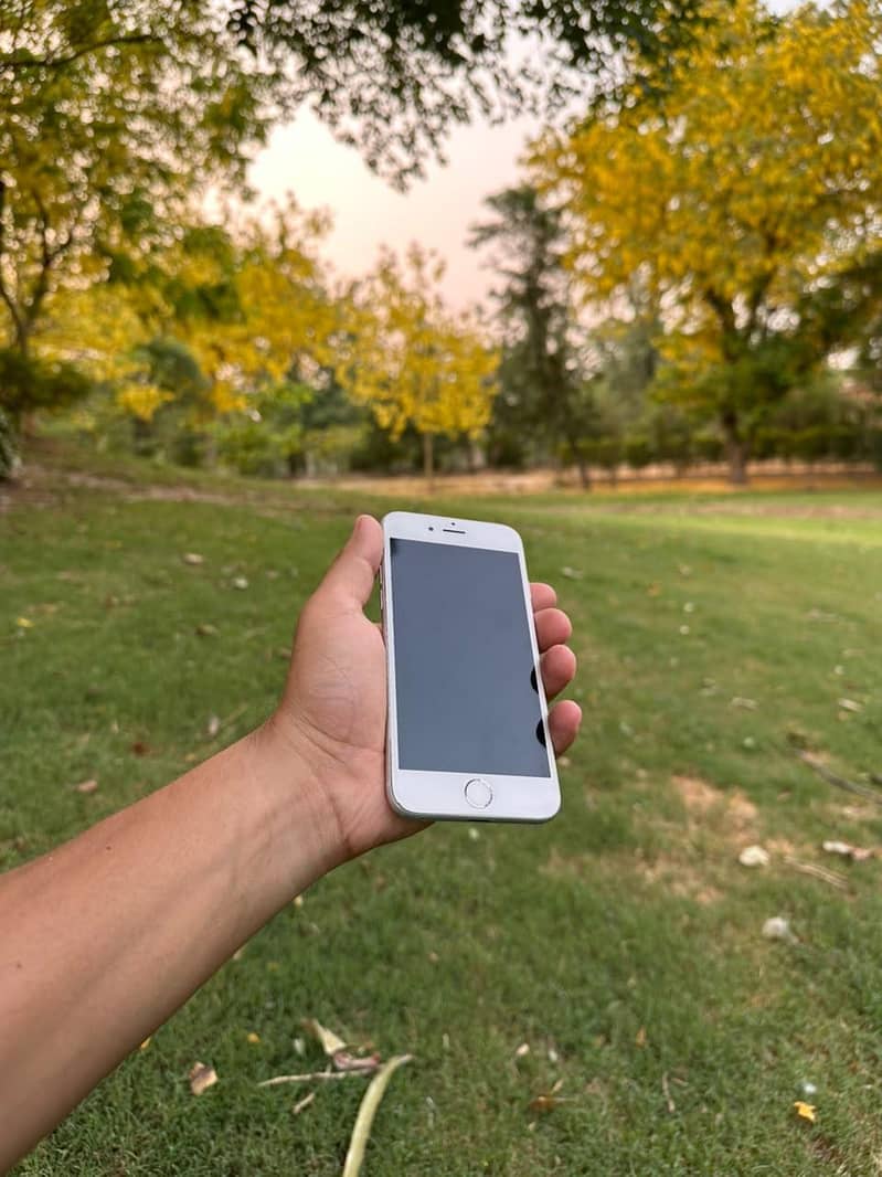 Apple iPhone 6S 7