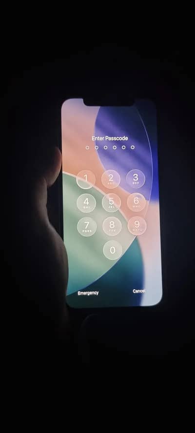 Apple iPhone 12 No exchange