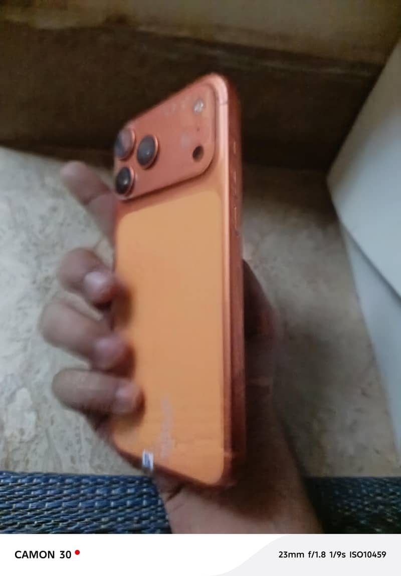 17 pro maxx 1