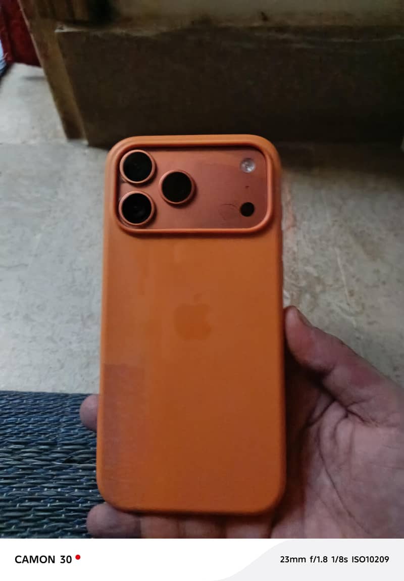 17 pro maxx 3