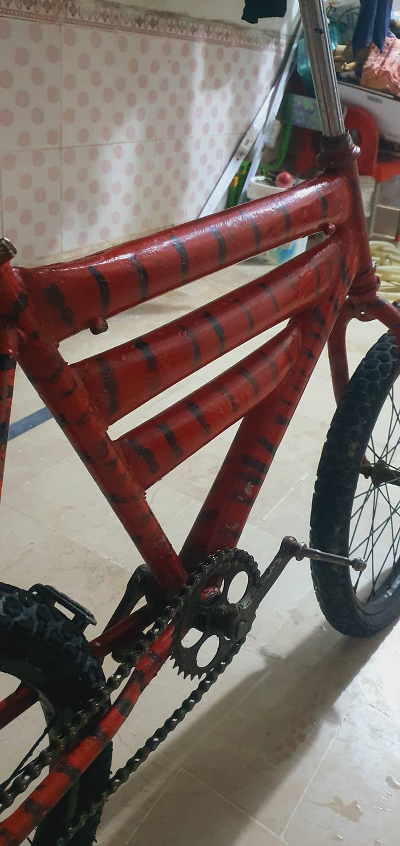 China cycle 1