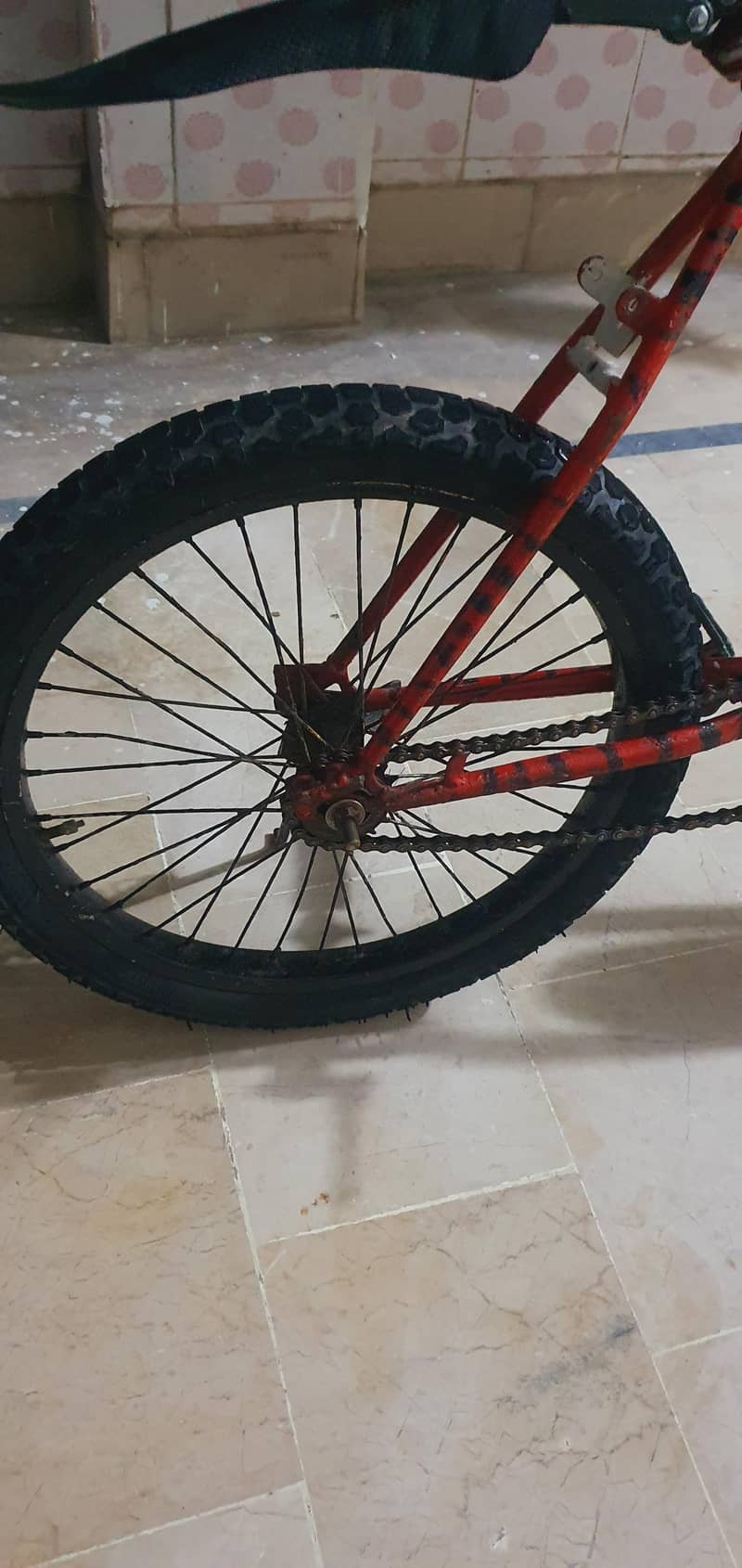 China cycle 3