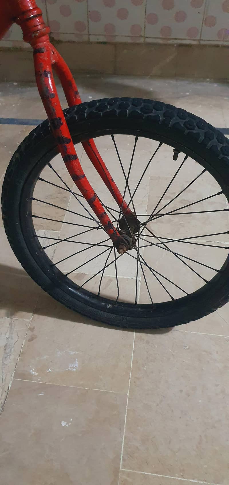 China cycle 4