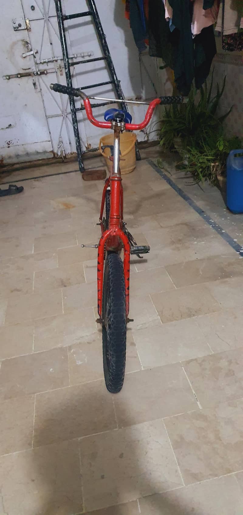 China cycle 5