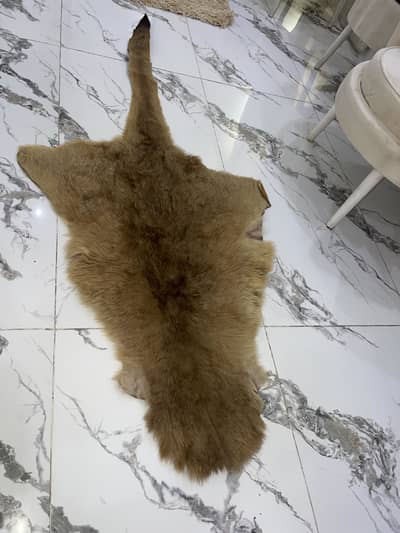 Original kangroo  fur  australian tanned