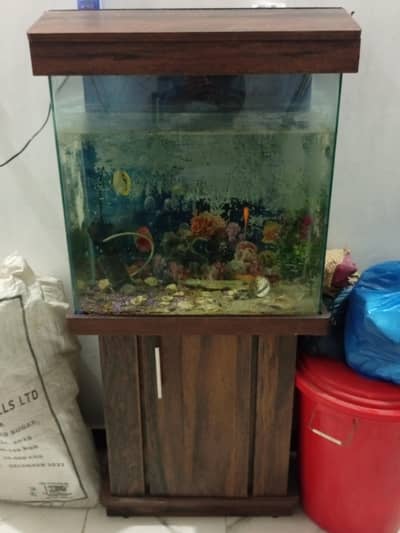 5 goldfishes and 2 feet lentgh by 2 feet height aquarium with console