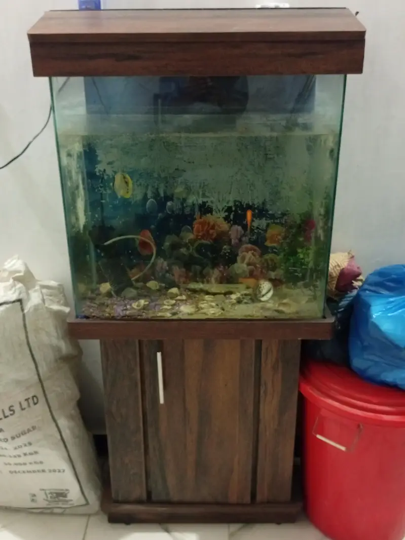 5 goldfishes and 2 feet lentgh by 2 feet height aquarium with console