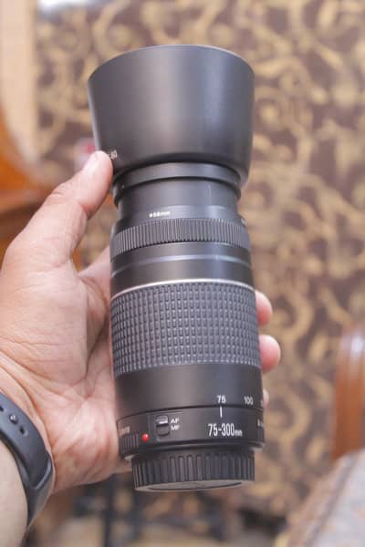 Canon 75-300mm Lens With Hood 10/10+++