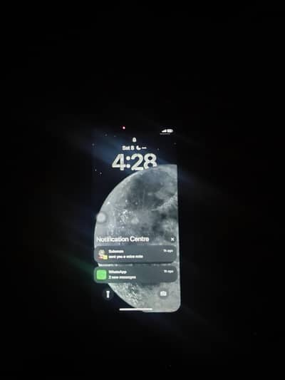 Apple iPhone X