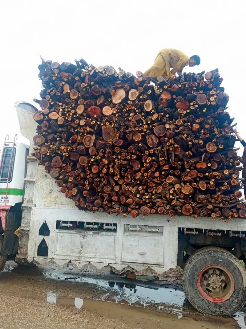 کوئلہ۔ لکڑی ۔اینٹ۔ لکڑی کاکوئلہ 2