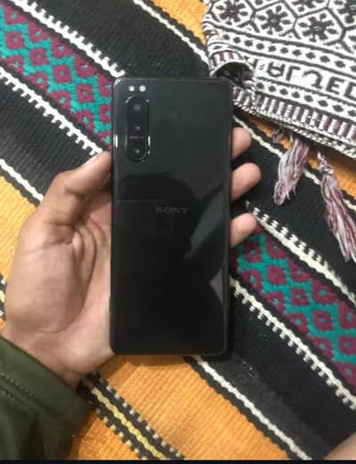 Only panel damage