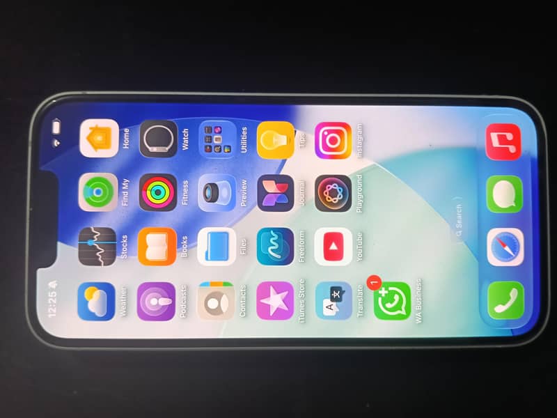 Apple iPhone 16e 13