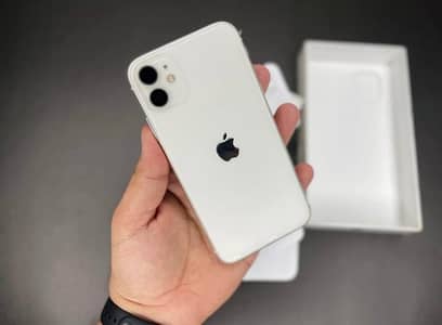 Apple iPhone 11 256 GB 0337/ 63/72/823 only WhatsApp number
