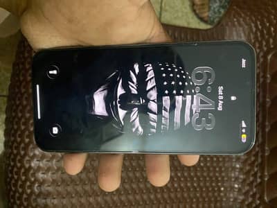 Apple iPhone 13 Pro Max pta