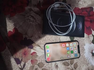 Apple iPhone 12 Pro pta approve