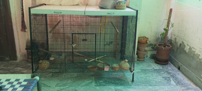 Iron Cage for Parrots_Hens/ Cage for cats_lovebirds