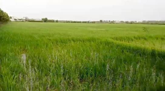 agreculter land for sale at gharo