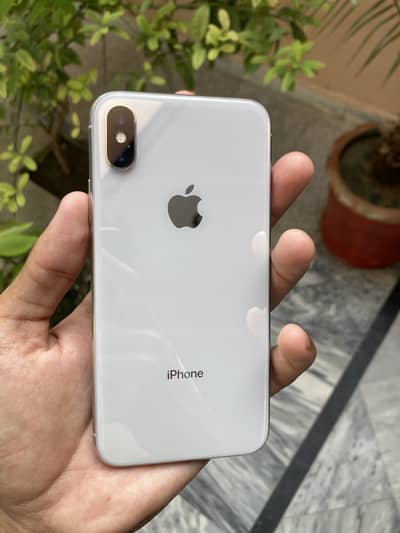Apple iPhone X