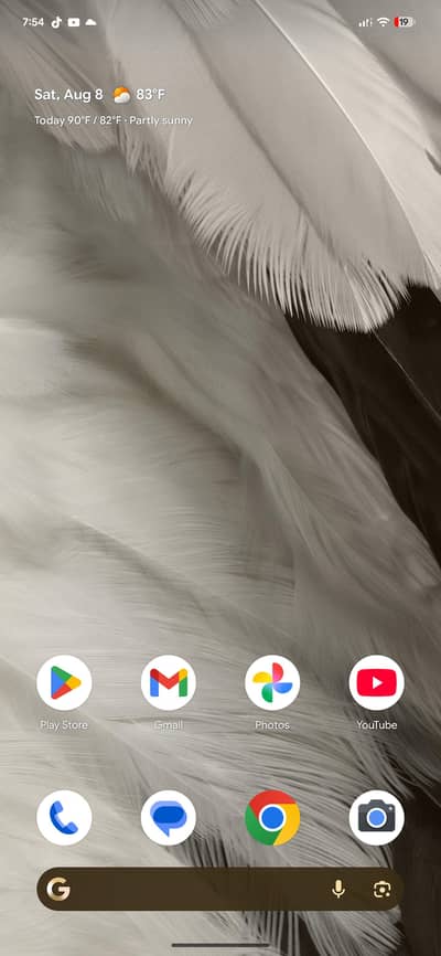 google pixel 7 pro Panel