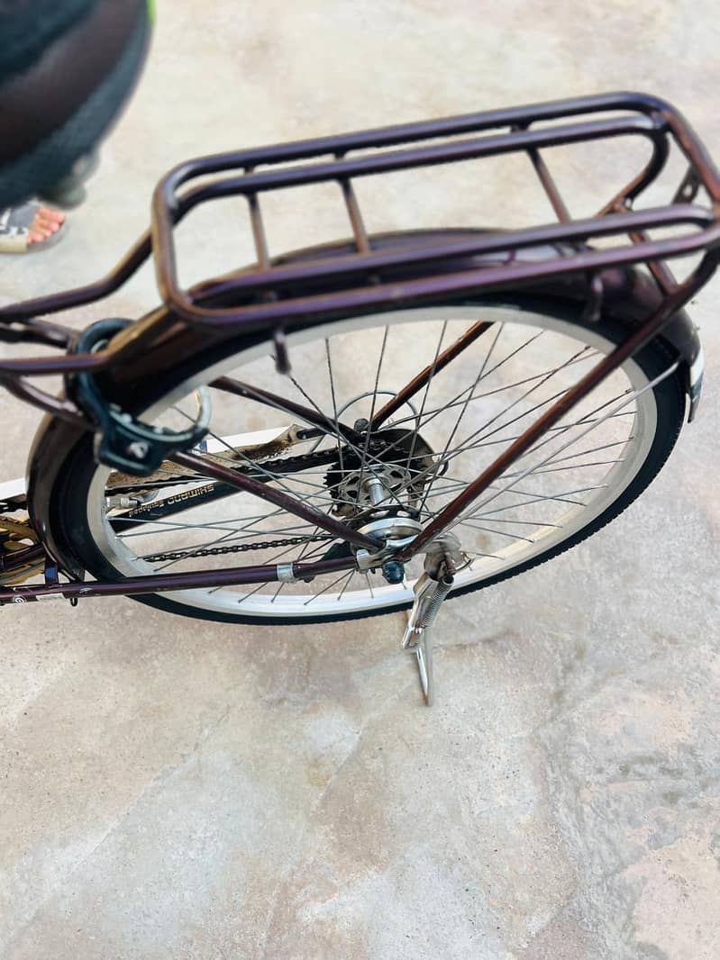 bicycle 2