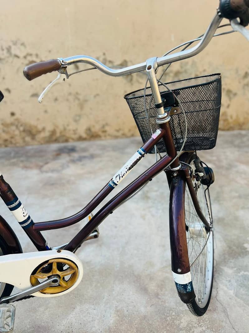 bicycle 6
