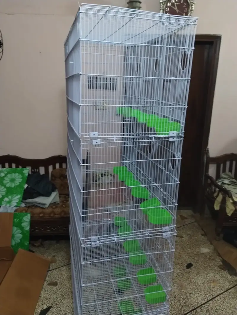 Brand New Sarib & Master 12 Portions Folding Cage (Box Pack) — photo 4