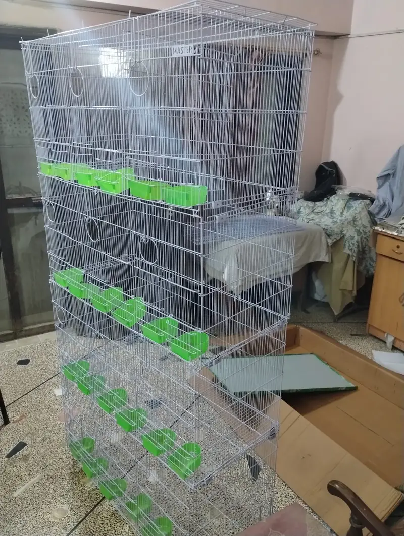Brand New Sarib & Master 12 Portions Folding Cage (Box Pack) — photo 5