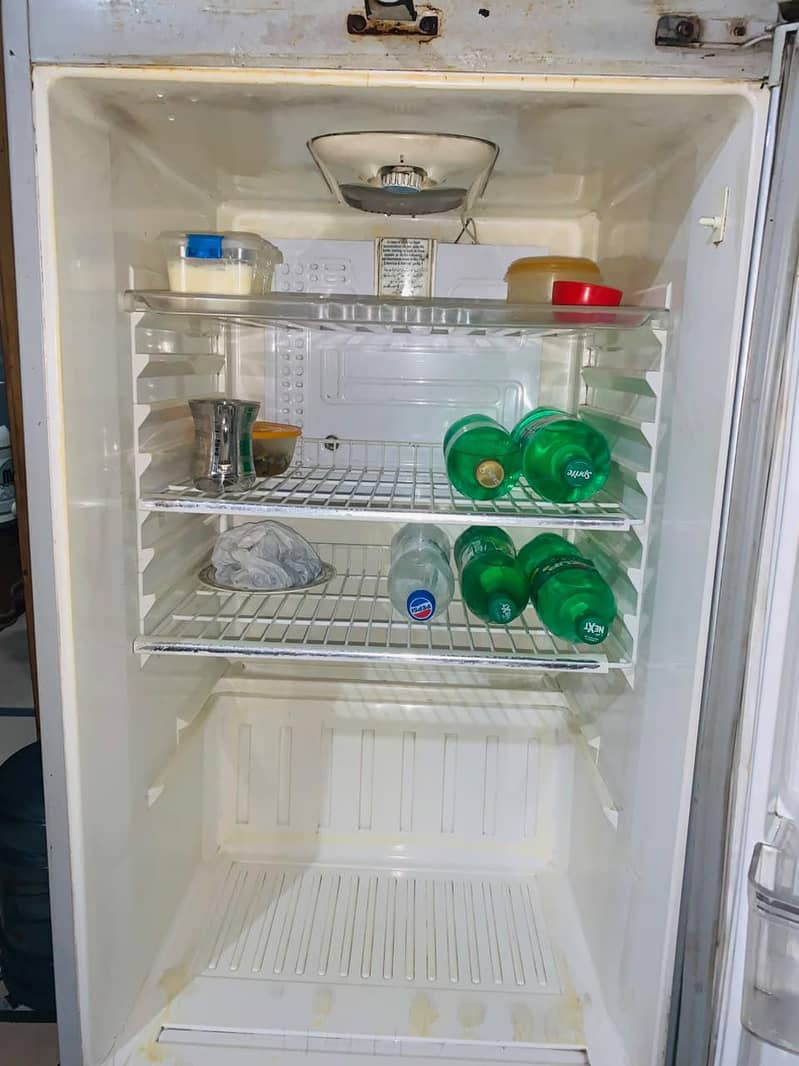 waves fridge 10/8 1