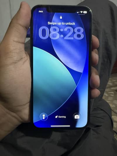Apple iPhone 12 Pro