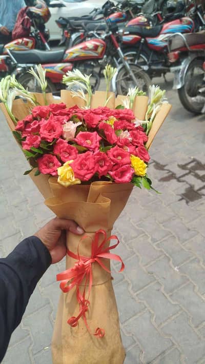 Shabbir 