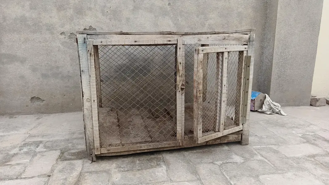 2 used pinjry for sale in Multan — photo 6