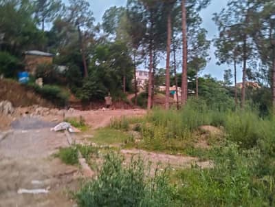 5 Marla Residential Plot Available For sale in Shimla Hills Governors House Road Near Khushal Khan Chowk