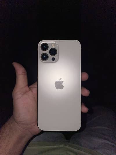 Apple iPhone 12 Pro Max