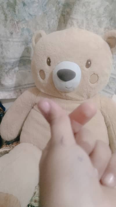 4 feet long teddy bear for sale