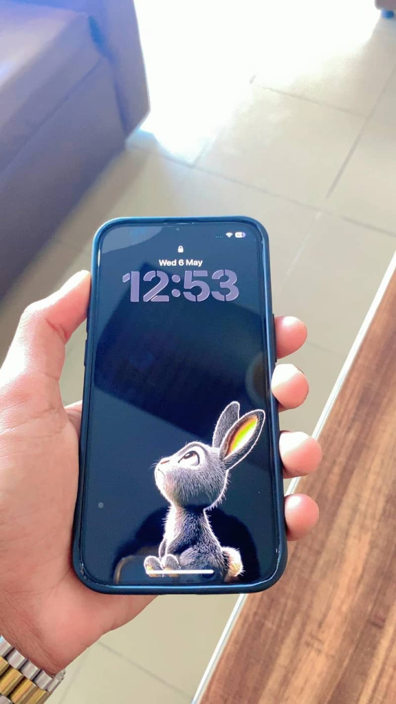 Apple iPhone 13 0
