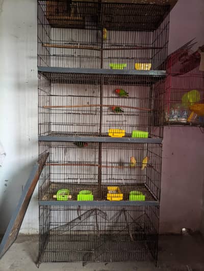 complete breeding setup: 4 portion iron cage