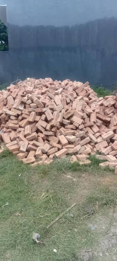 Bricks dom