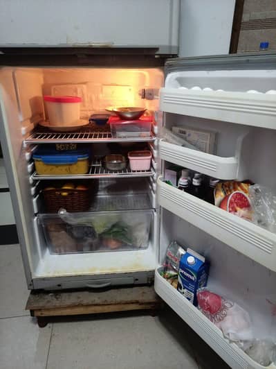 Orient fridge