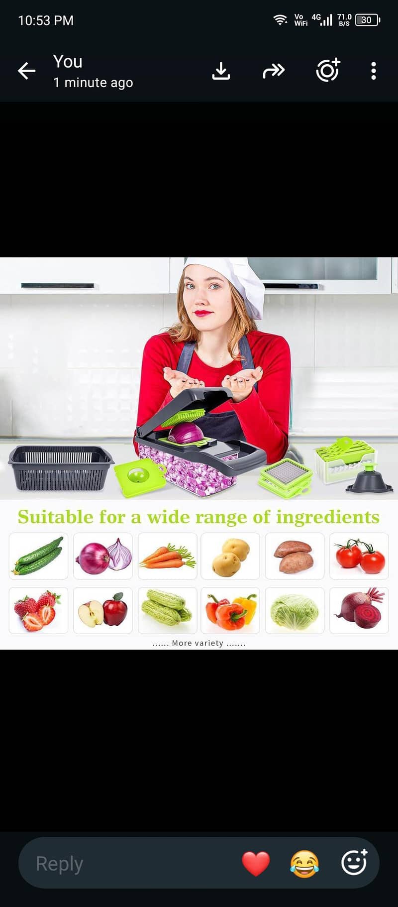 vegetables chopper 2