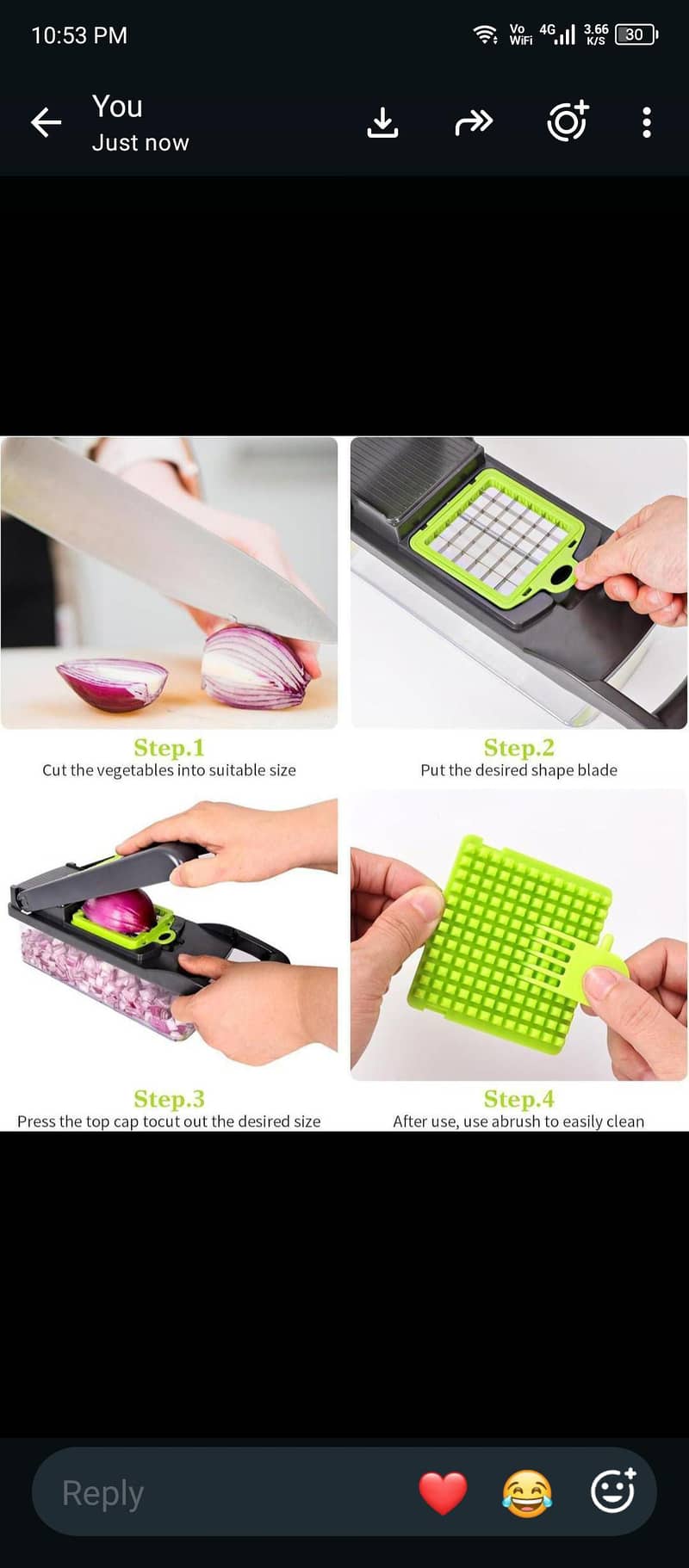 vegetables chopper 6