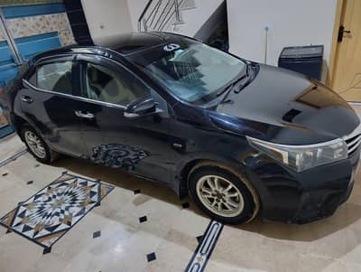 Toyata Gli 2015
