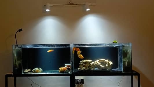 3ft aquarium with side sump